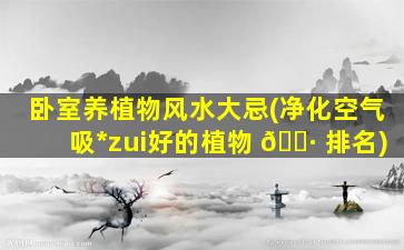 卧室养植物风水大忌(净化空气吸*
zui
好的植物 🌷 排名)
